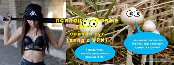 шишки Абдулино