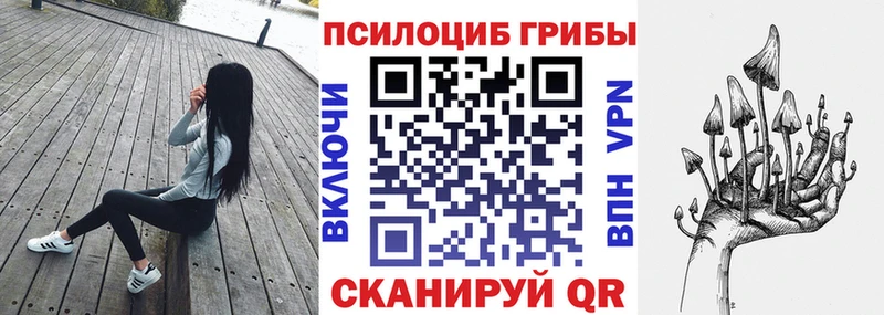 гидра tor  Кингисепп  Псилоцибиновые грибы мицелий 